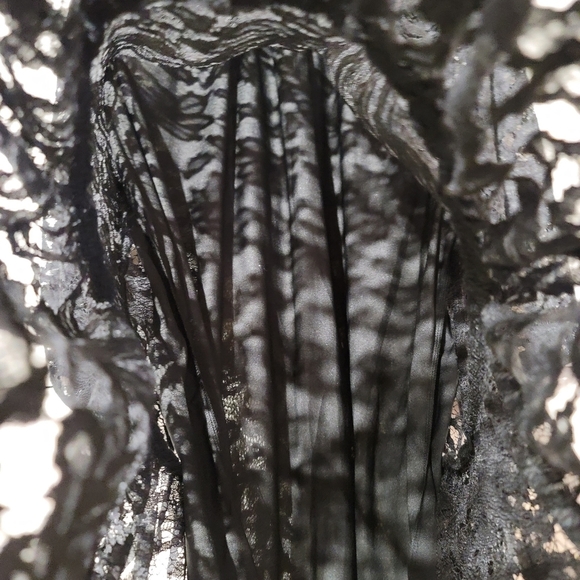 Black Raglan Balloon Sleeve Lace Dress - Picture 7 of 9